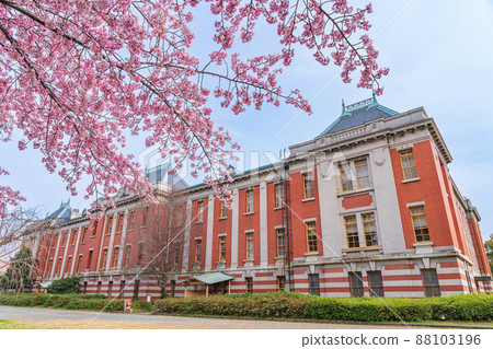 春天名古屋市檔案館、盛開的岡櫻<愛知縣名古屋市> 春天名古屋市檔案館、盛開的岡櫻<愛知縣名古屋市> 88103196