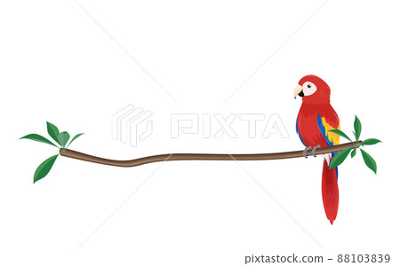 Illustration of a scarlet macaw perched on a branch_frame_line 88103839