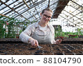 Young woman stands near table with seedlings in large greenhouse and holds rake and shovel in her hands. Gardening, seedlings, sales 88104790
