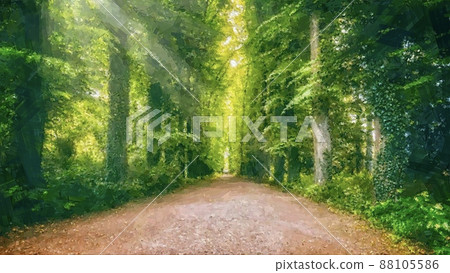 Landscape of tree-lane road 88105586