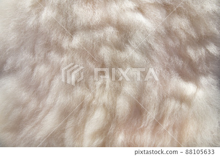 Sheepskin background 88105633