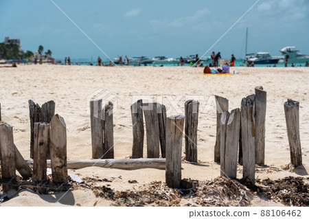 Old wooden beams from former pier on a beautiful caribbean beach on Isla Muheres, Mexico 88106462