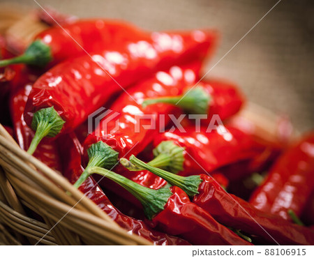 multitude of red chili peppers 88106915