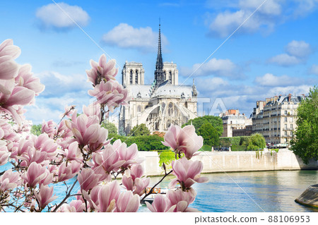 Notre Dame cathedral, Paris France Notre Dame cathedral, Paris France 88106953