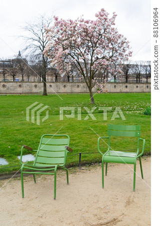 Tuileries garden, Paris Tuileries garden, Paris 88106964