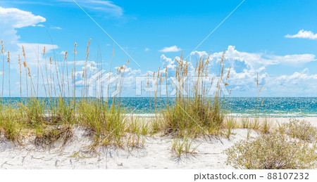 sunny beach with sand dunes and blue sky 88107232