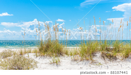 sunny beach with sand dunes and blue sky 88107441
