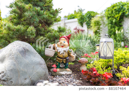 garden dwarf in home garden, gnome decoration garden dwarf in home garden, gnome decoration 88107464