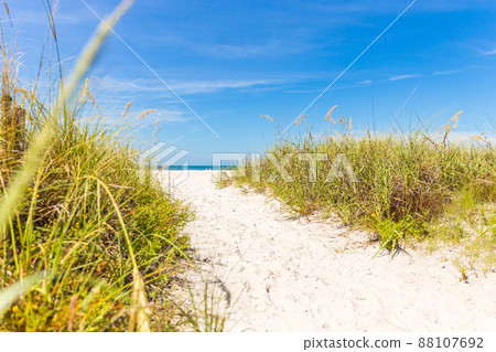 St. Pete beach in Florida, USA. Path to ocean 88107692