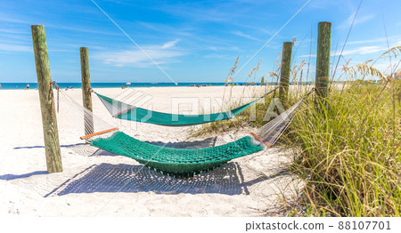 Hammock on a beach Hammock on a beach 88107701