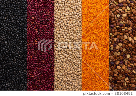 Different types of legumes 88108491