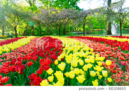 fresh lawn with flowers fresh lawn with flowers 88108603