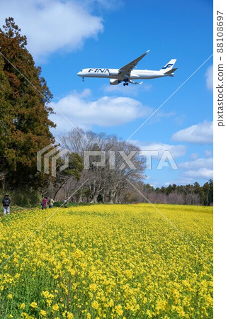 Airplane flying over rape field Narita Airport Airplane flying over rape field Narita Airport 88108697