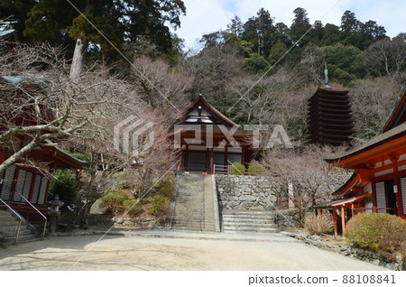 “Gonden（左）”“十三層塔（中）”“陵殿（右）”（奈良縣櫻井市丹山神社/Tonomine） 88108841