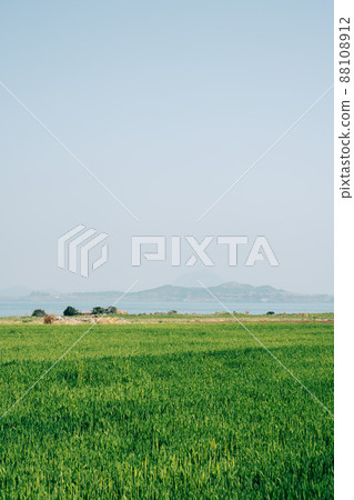 Gapado island green field and sea in Jeju island, Korea Gapado island green field and sea in Jeju island, Korea 88108912