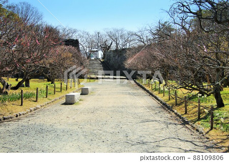 The ruins of the front gate of Maizuru Park in Fukuoka City 88109806