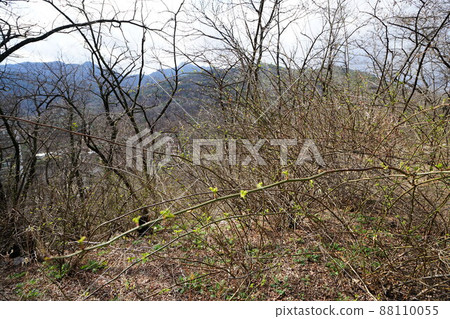 達爾東公園內。 88110055