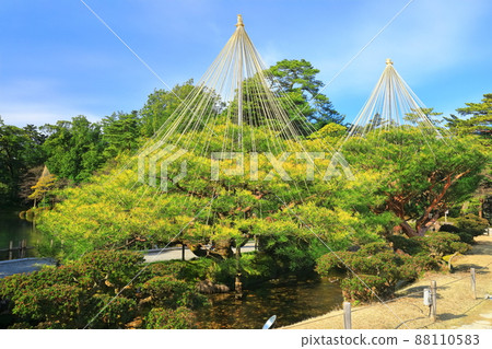 [石川縣]兼六園天氣晴朗，Yukitsuri Karasakimatsu 88110583