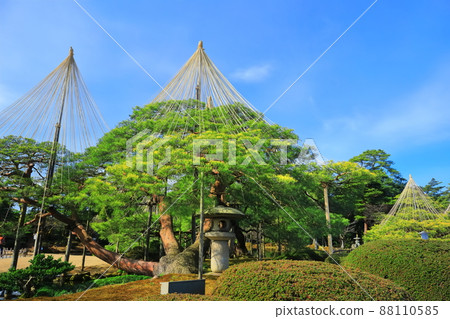 [Ishikawa Prefecture] Kenrokuen in fine weather, Yukitsuri Karasakimatsu 88110585