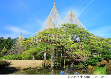 [Ishikawa Prefecture] Kenrokuen in fine weather, Yukitsuri Karasakimatsu 88110589