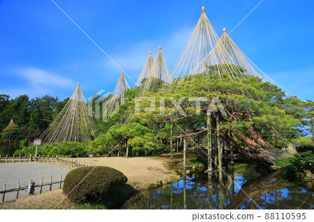 [Ishikawa Prefecture] Kenrokuen in fine weather, Yukitsuri Karasakimatsu 88110595
