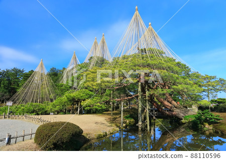 [Ishikawa Prefecture] Kenrokuen in fine weather, Yukitsuri Karasakimatsu 88110596