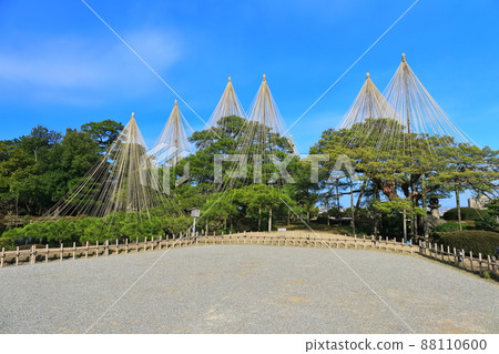 [Ishikawa Prefecture] Kenrokuen in fine weather, Yukitsuri Karasakimatsu 88110600