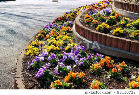 A landscape of walking in a spring park invited by the warm sunlight 88110722