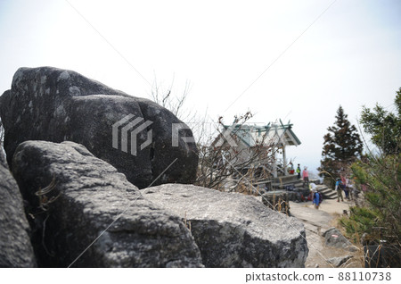 山HOMAN 山HOMAN 88110738