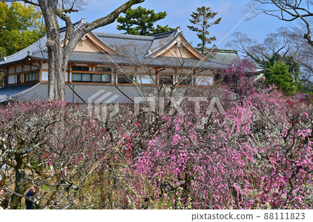 北野天滿宮梅花節 88111823