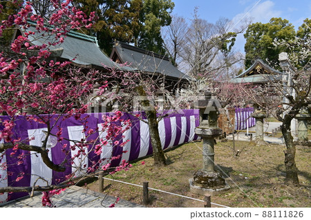 北野天滿宮梅花節 88111826