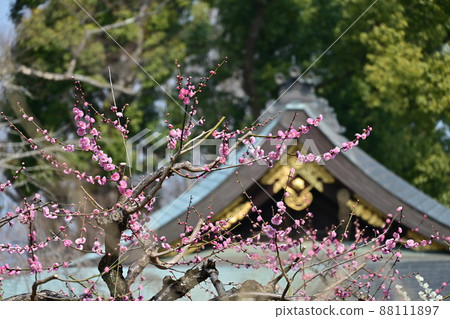 北野天滿宮梅花節 88111897