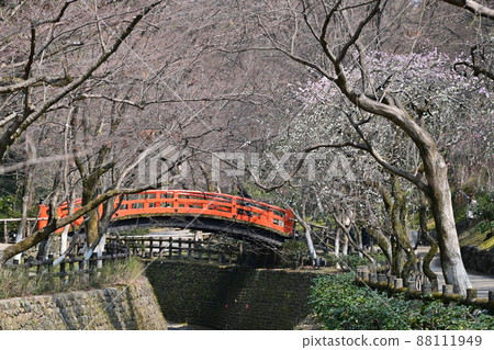 北野天滿宮梅花節 88111949