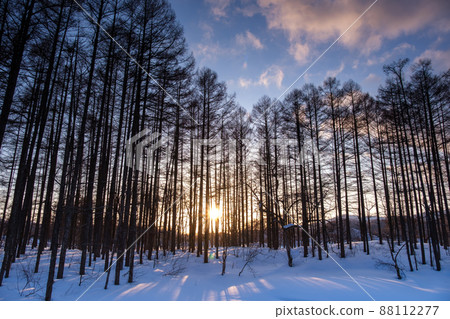 Winter landscape with evening sky Winter landscape with evening sky 88112277
