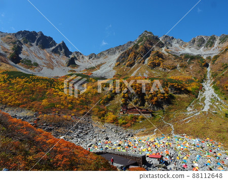 Fukuzawa curl's autumn leaves Fukuzawa curl's autumn leaves 88112648