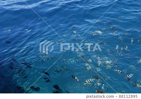 Sea surface Sea surface 88112895