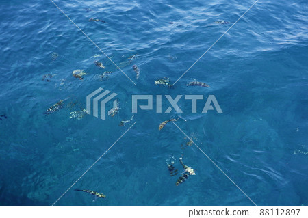 海面 海面 88112897