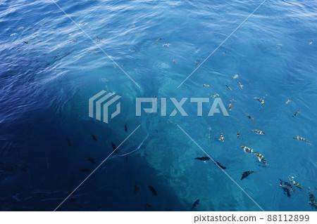 海面 海面 88112899