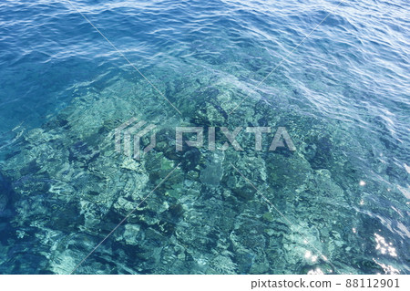 海面 88112901