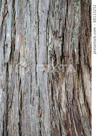 Cedar bark Cedar bark 88113252