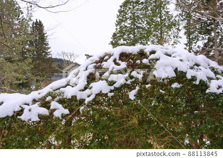 對沖雪景 88113845