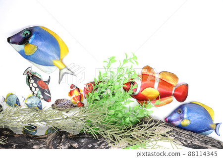 熱帶魚 熱帶魚 88114345