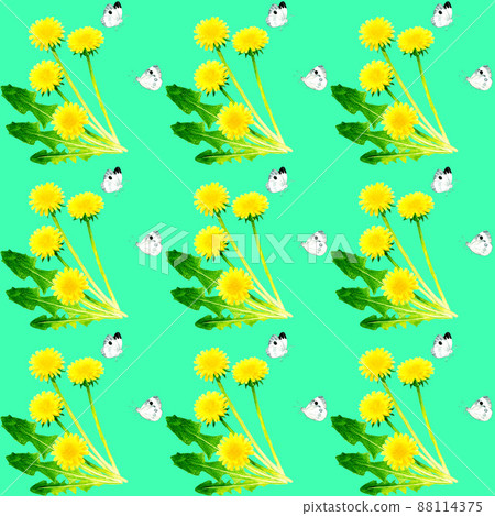 dandelion, pattern, patterns - Stock Illustration [88114375] - PIXTA