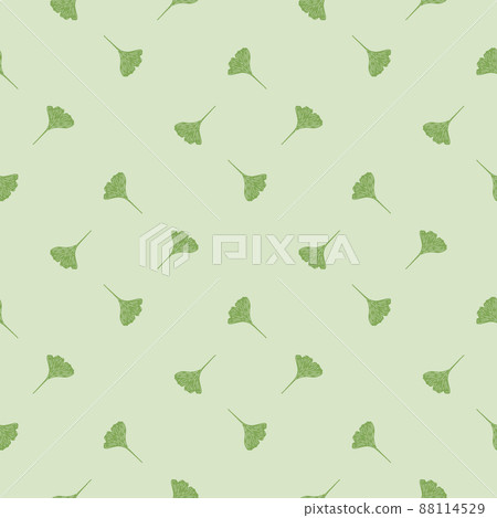 Ginkgo biloba seamless pattern. Beautiful plant background. 88114529