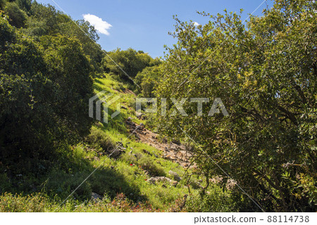 A view of a mountain range of a green forest against a dramatic back of blue sky with clouds. Travel concept hiking. A saddle between mountains, topographic saddle, North District Israel 88114738