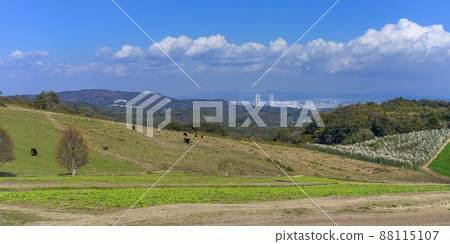 A panoramic view of the Akashi Kaikyo Bridge and the idyllic ranch seen from the park on Awaji Island @ Hyogo A panoramic view of the Akashi Kaikyo Bridge and the idyllic ranch seen from the park on Awaji Island @ Hyogo 88115107