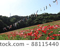 Poppies and carp streamers 88115440