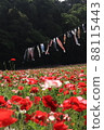 Poppies and carp streamers 88115443