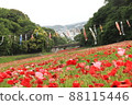 Poppies and carp streamers 88115446