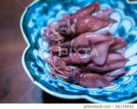 Firefly squid seasonal ingredients spring Firefly squid seasonal ingredients spring 88116642
